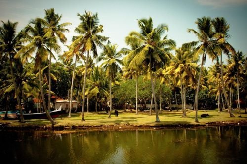 south-india-2075399 1280